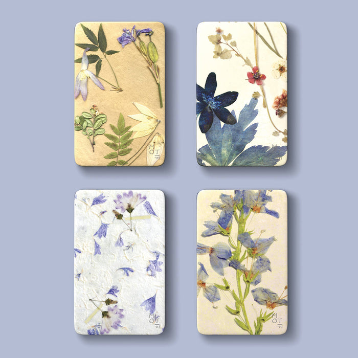 Motif Mints