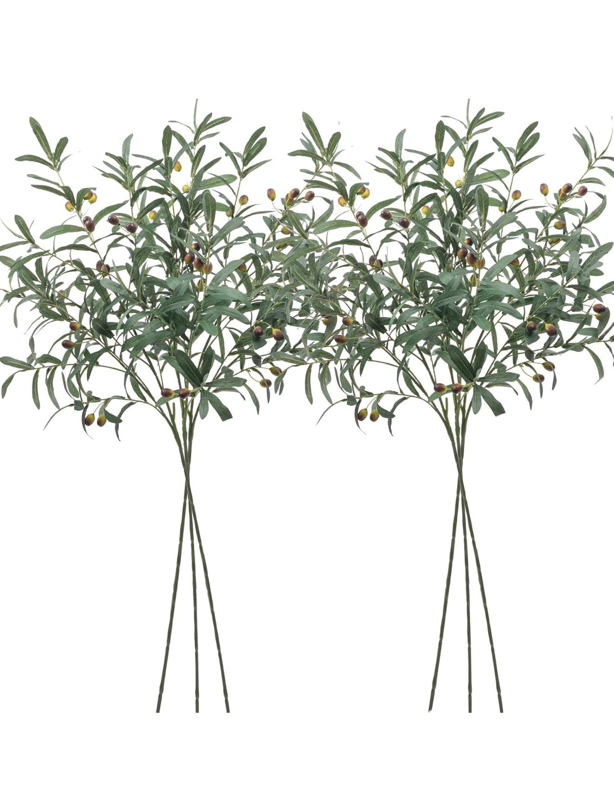 Olive Branch