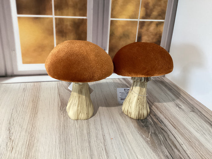 Mini Mushroom