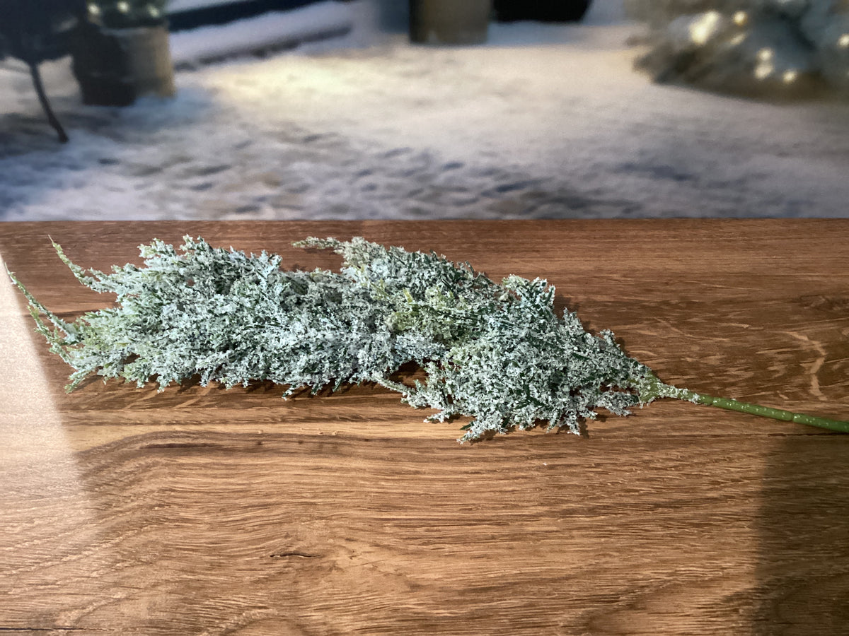 Frosted Sprig