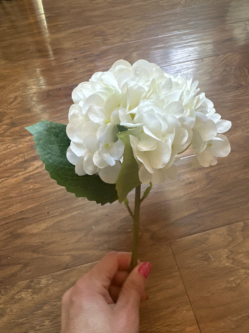 Hydrangea Stems
