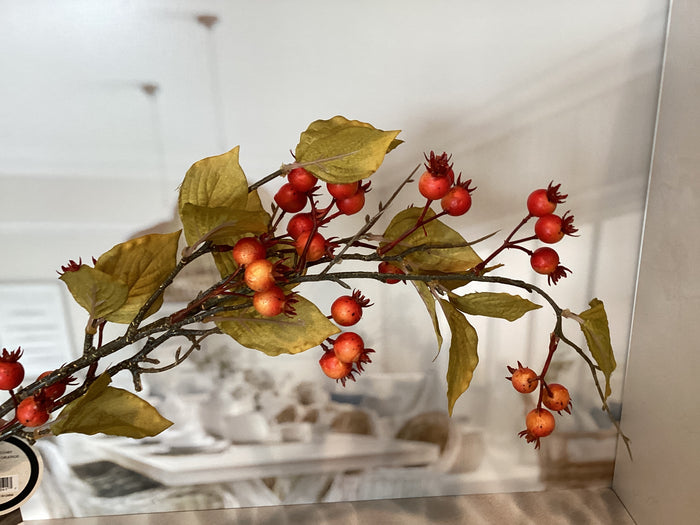 Orange Rose Hips Spray
