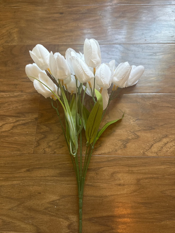 White Tulips