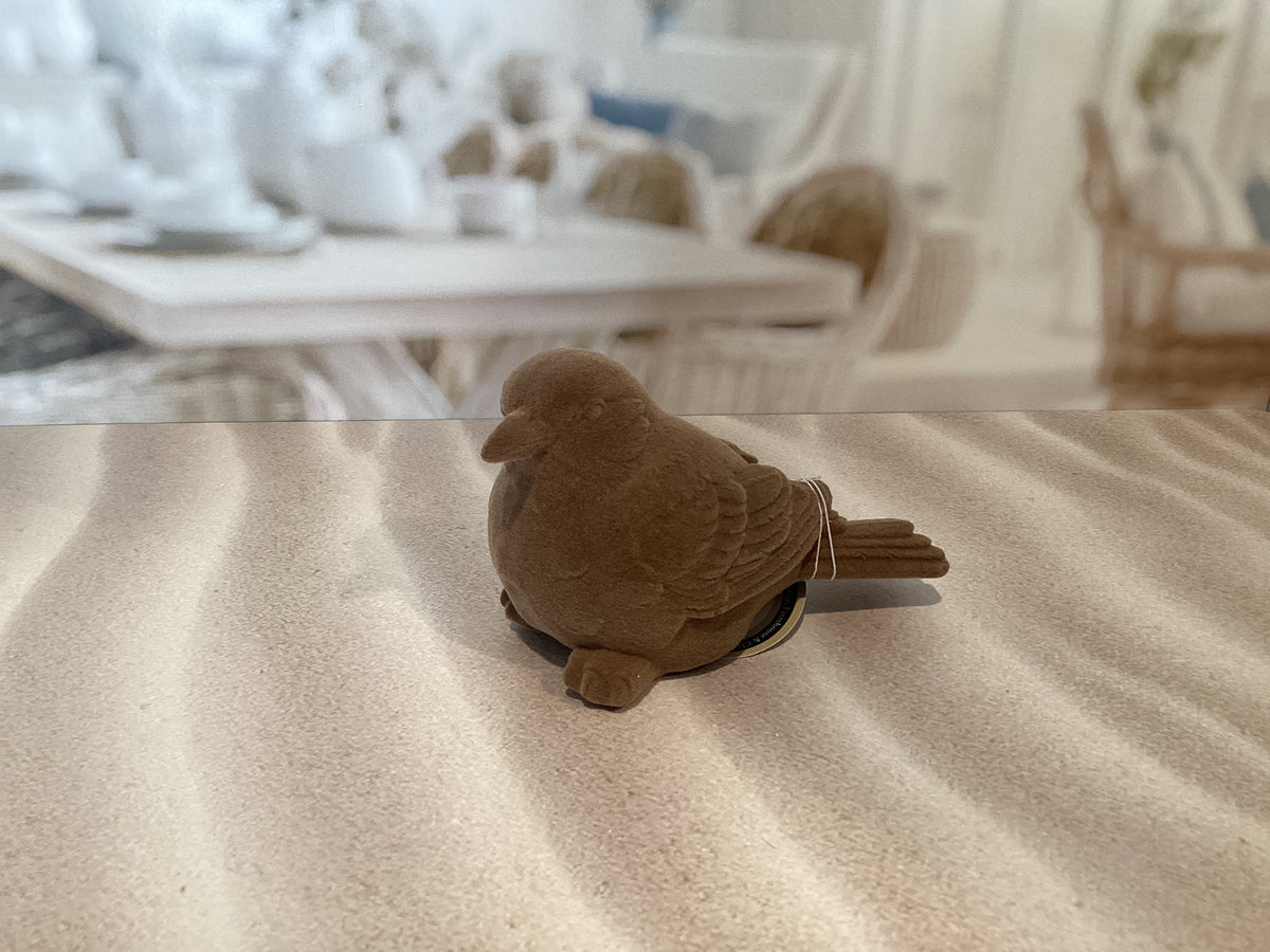 Brown Flocked Bird