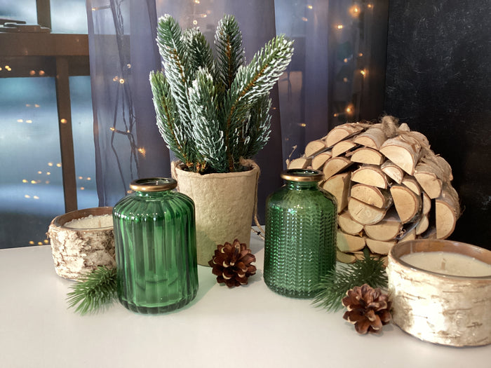 Pine Tree Paper Pot