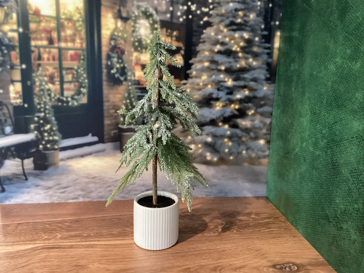 Potted Pine