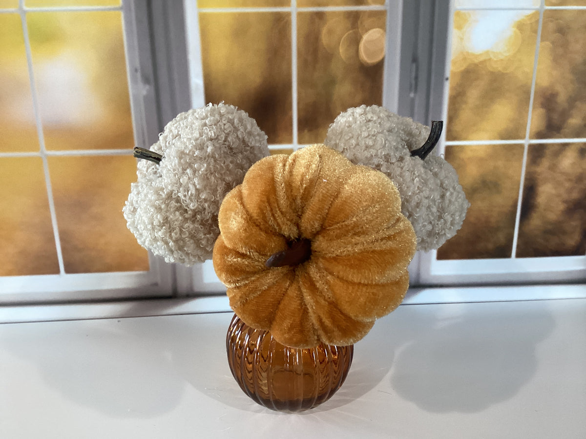 Pumpkin Pick