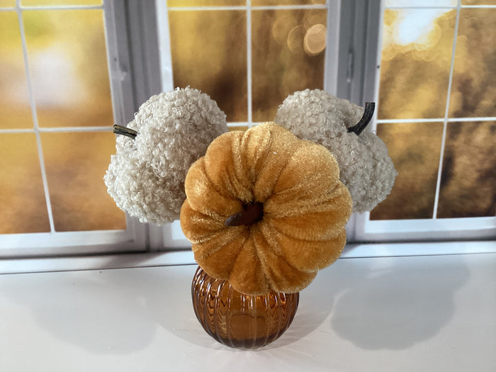 Pumpkin Pick