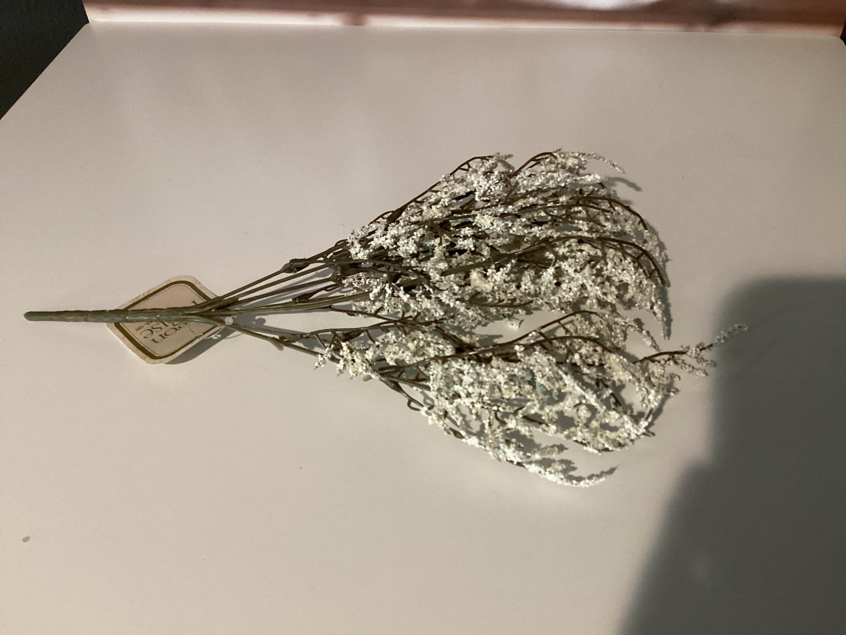 White Sprig