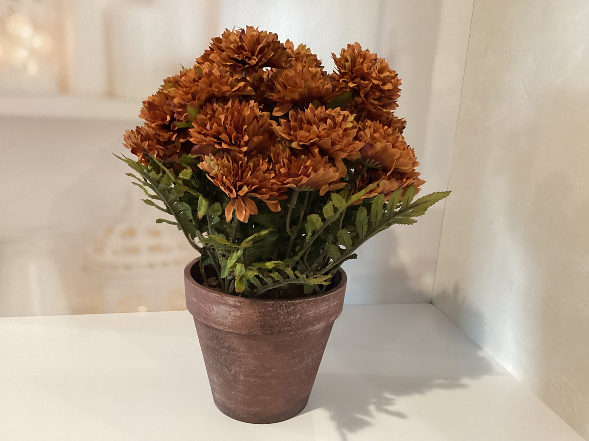 Brown Potted Mums Faux