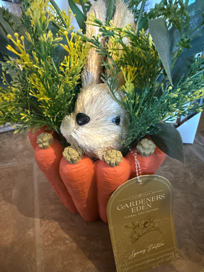 Bunny Carrot