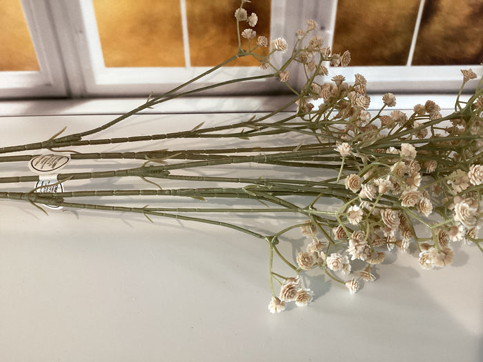Baby’s Breath Stem
