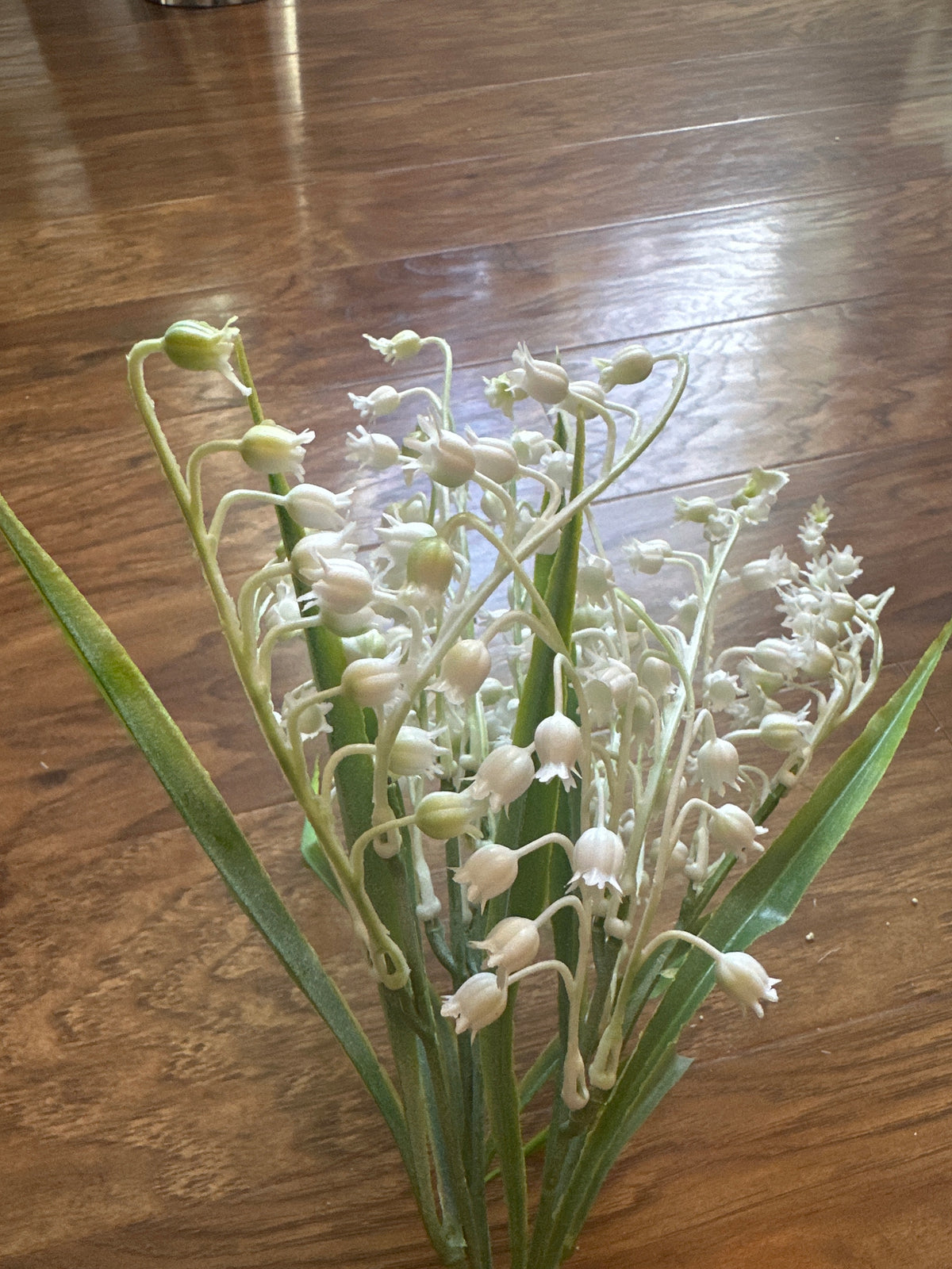 Lilly of the Valley