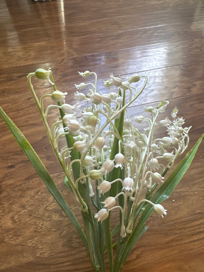 Lilly of the Valley