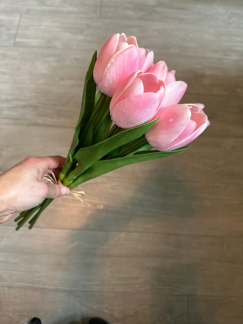 Pink Tulips