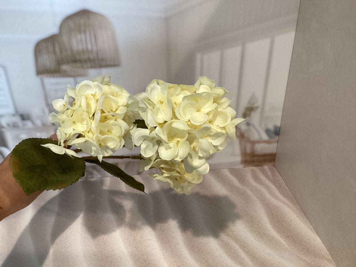 Pale Yellow Hydrangea Stem