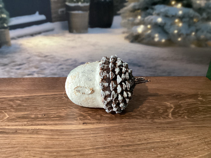 Large Pinecone
