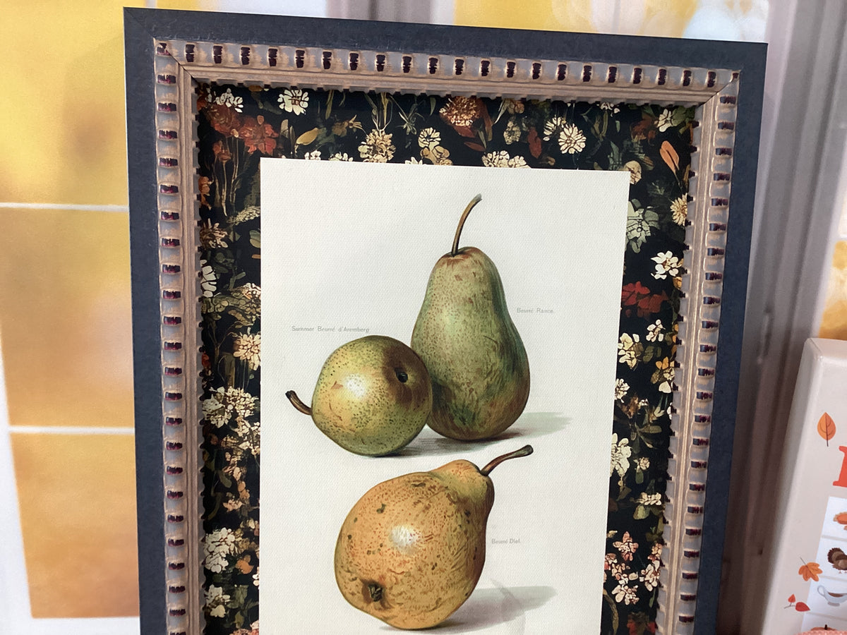Pear Picture