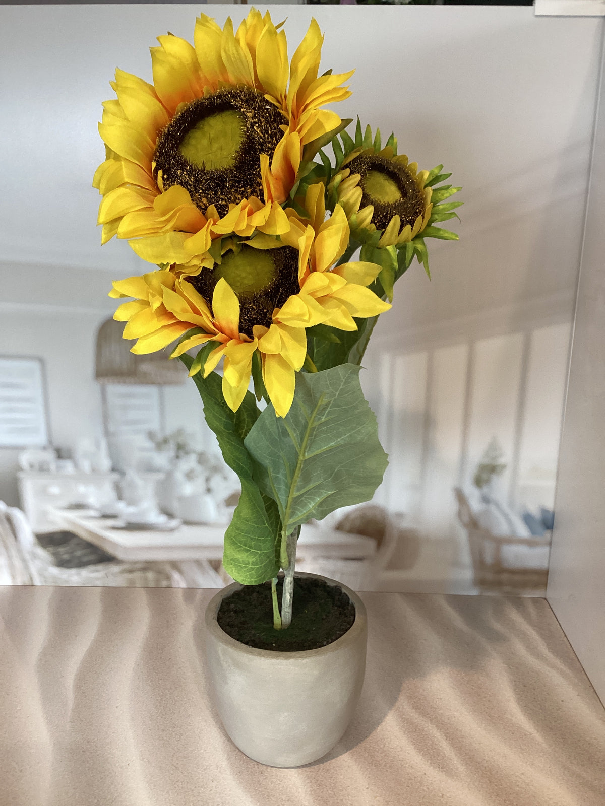 Yellow Potted Sunflower