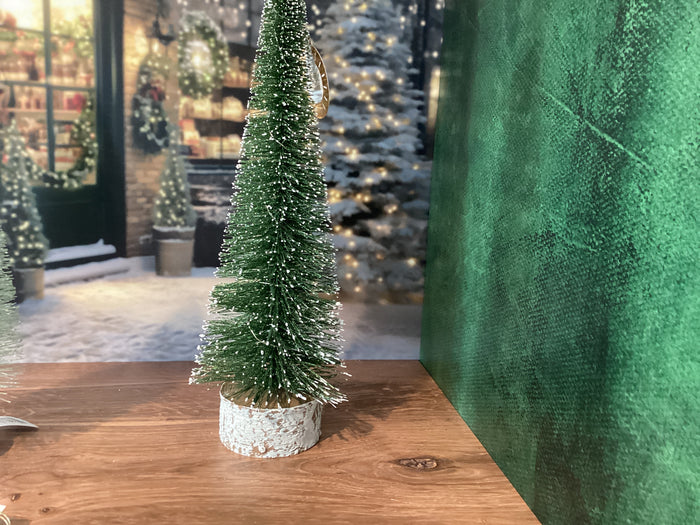 Lighted Pine