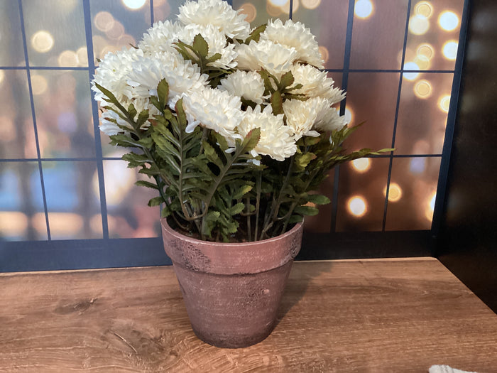 White Potted Mum Faux