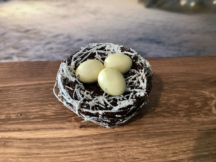 Snowy Birds Nest