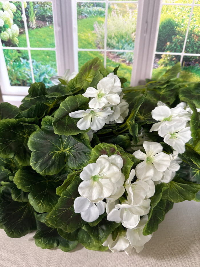 Geranium Spray