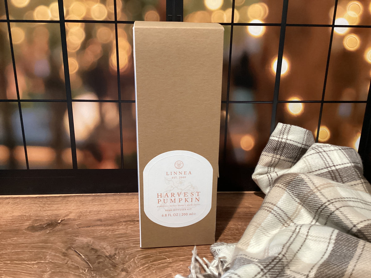Harvest Pumpkin Reed Diffuser Kit