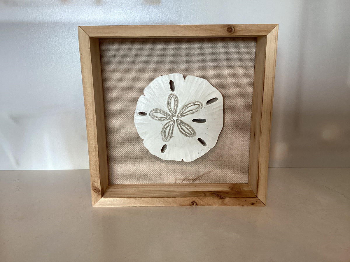 Sandollar Art