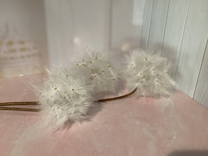 Wish Flower