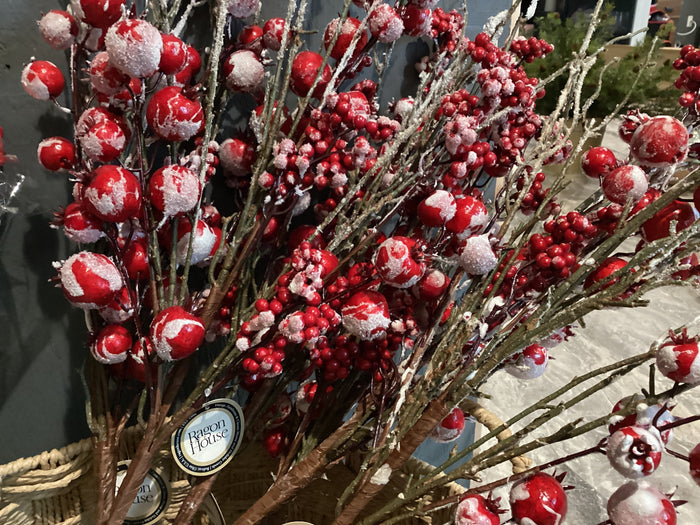 Frosted Red Berry Pick