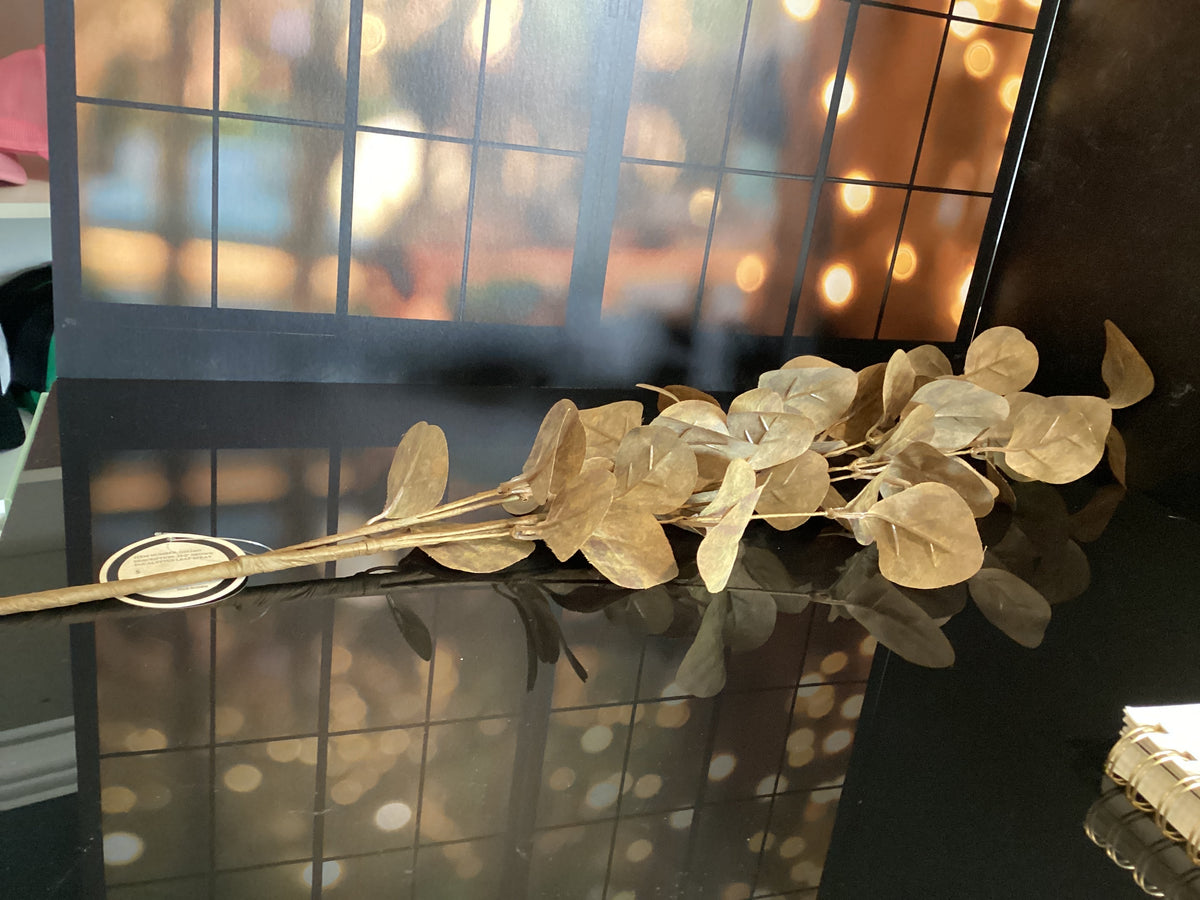 Brown eucalyptus leaf spray