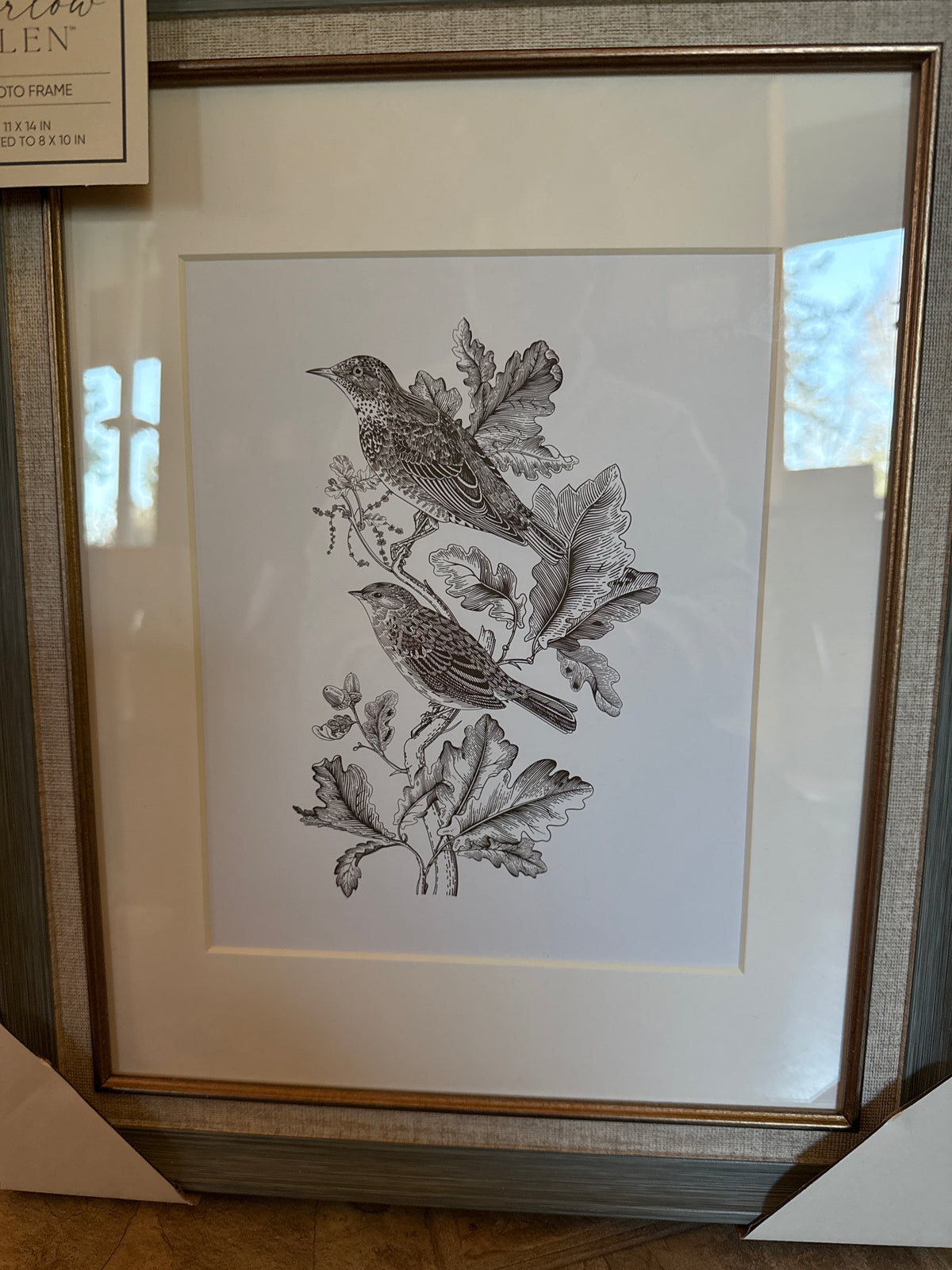 Bird Frame