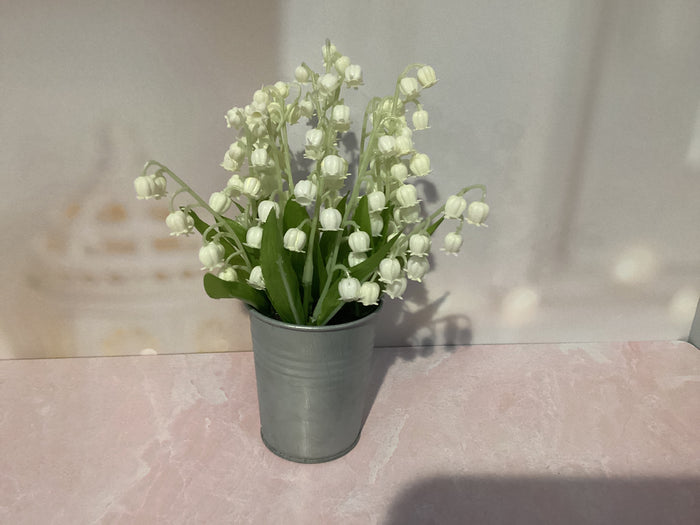 Lilly of the Valley