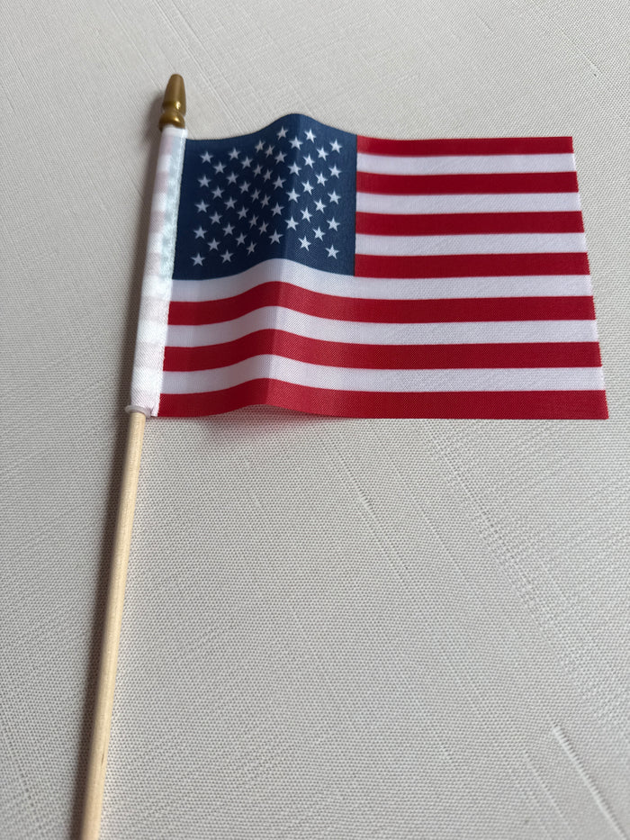Mini American Flag