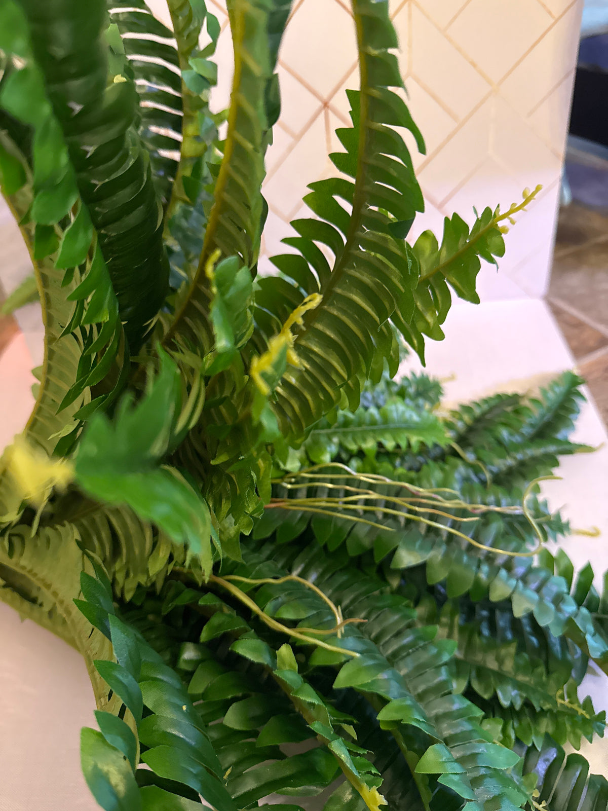 Faux Fern
