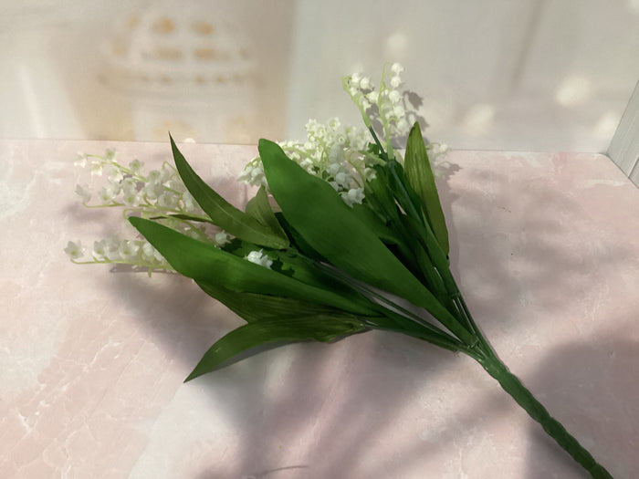 Lilly of the Valley