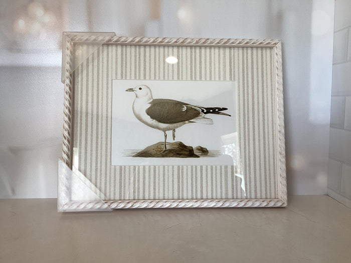 Seagull Frame