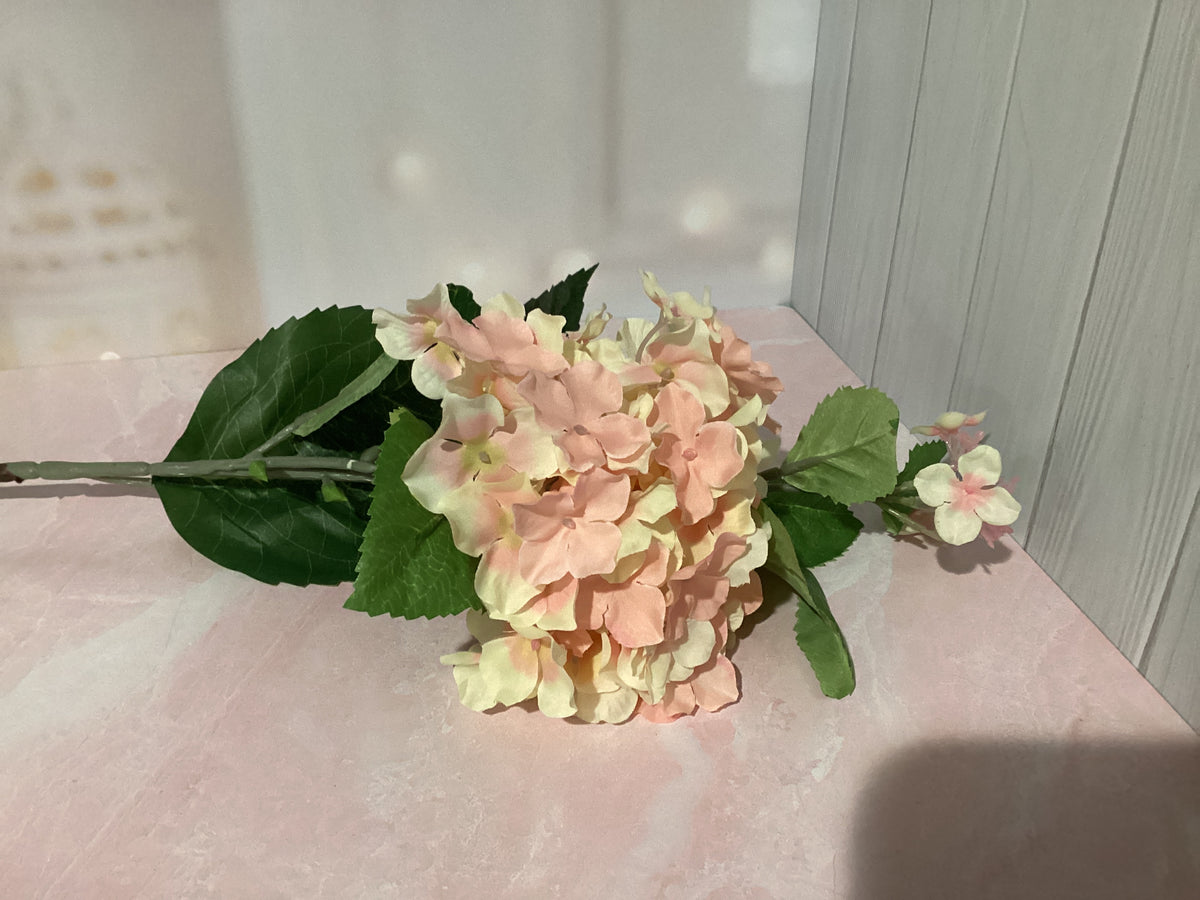 Hydrangea Stem