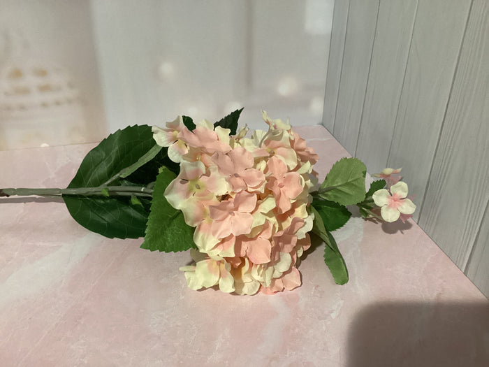 Hydrangea Stem