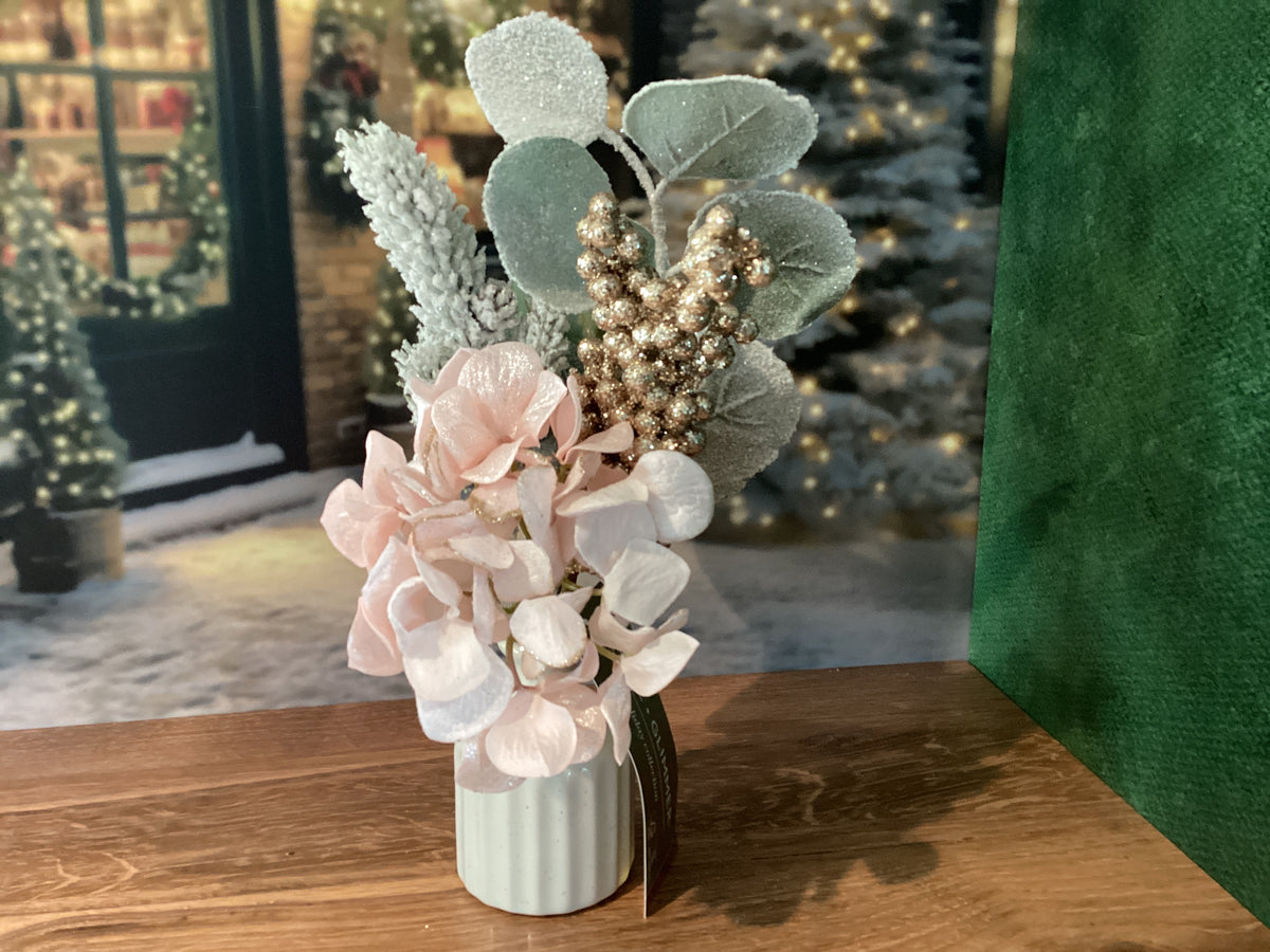 Pink Winter Hydrangea