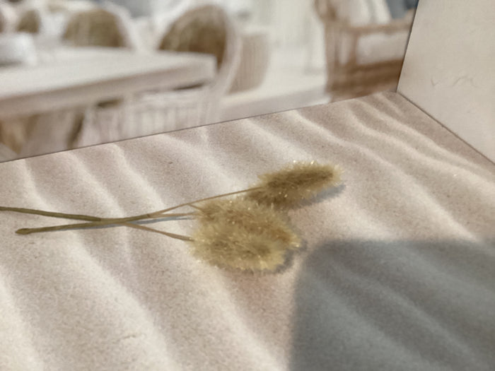 Mini Bunnytail Sprig