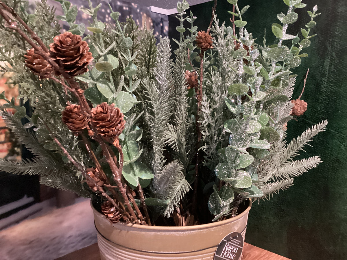 Kringle Pine Bundle